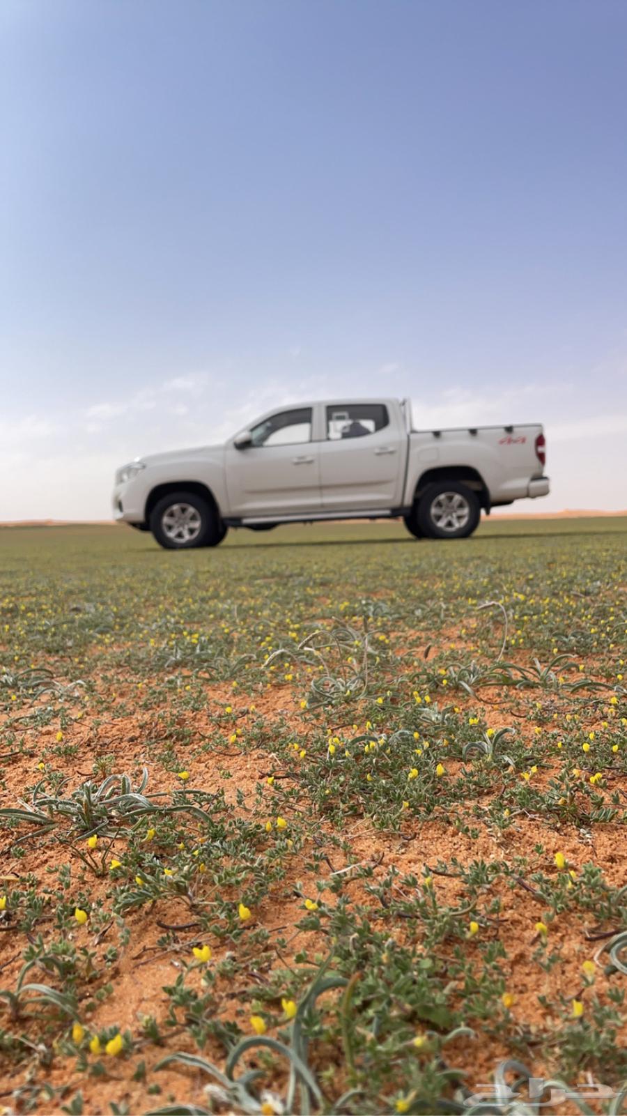 Delivery of dates throughout the Kingdom from Al-Qassim636136796663061112