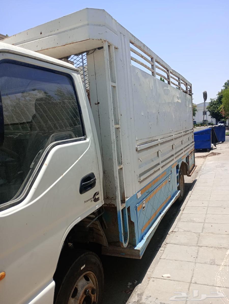 Dina Jack for sale64047385468034112