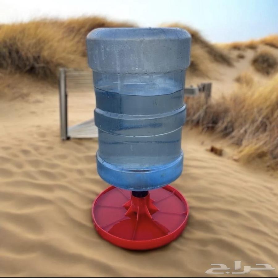 Bird Water Fountains63853650554115112