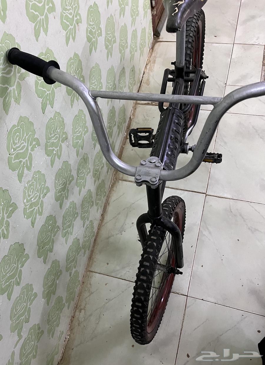 Rambow bicycle large size63854077245697114