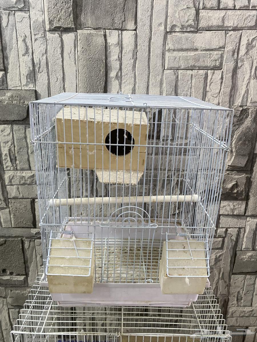 Cages for sale for canaries and budgies63848366201603113