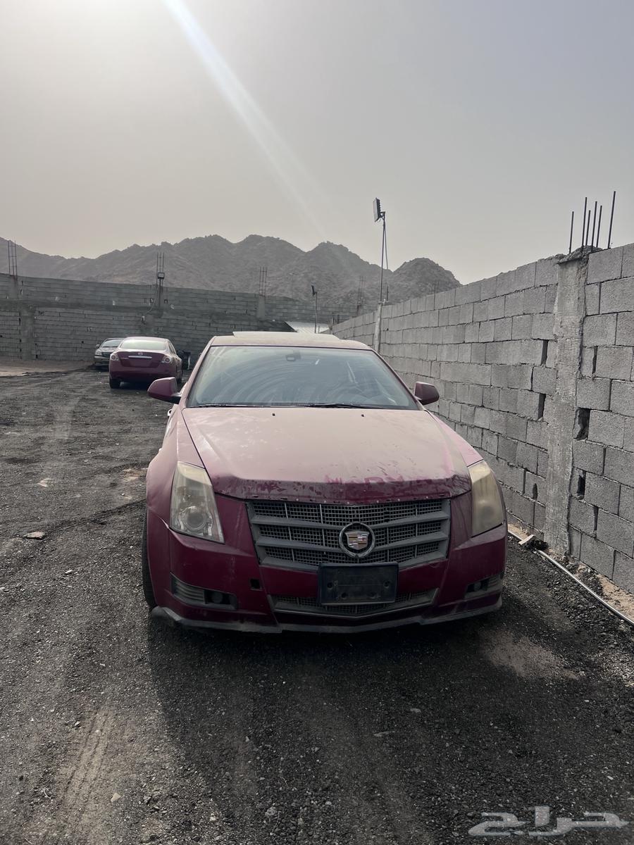 كاديلاك cts64028727591042110
