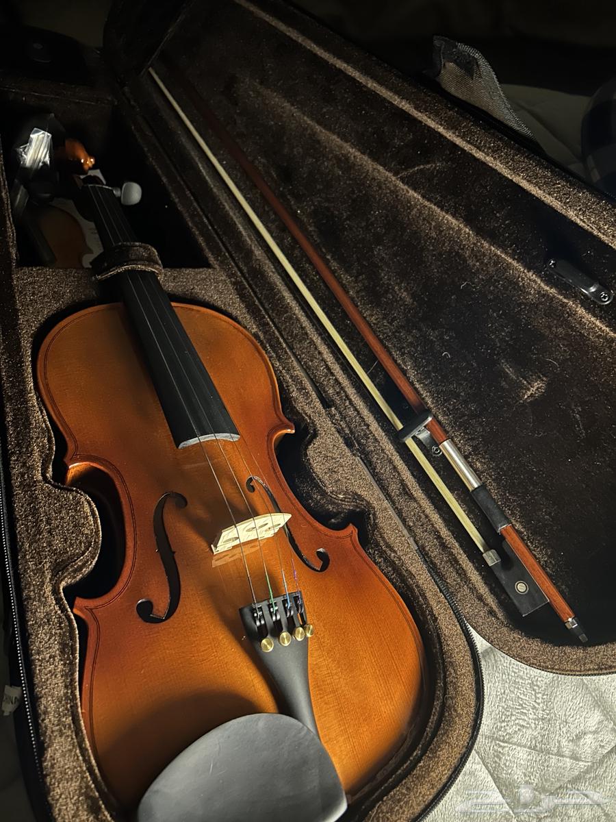 Violin for sale with accessories63618666851075112