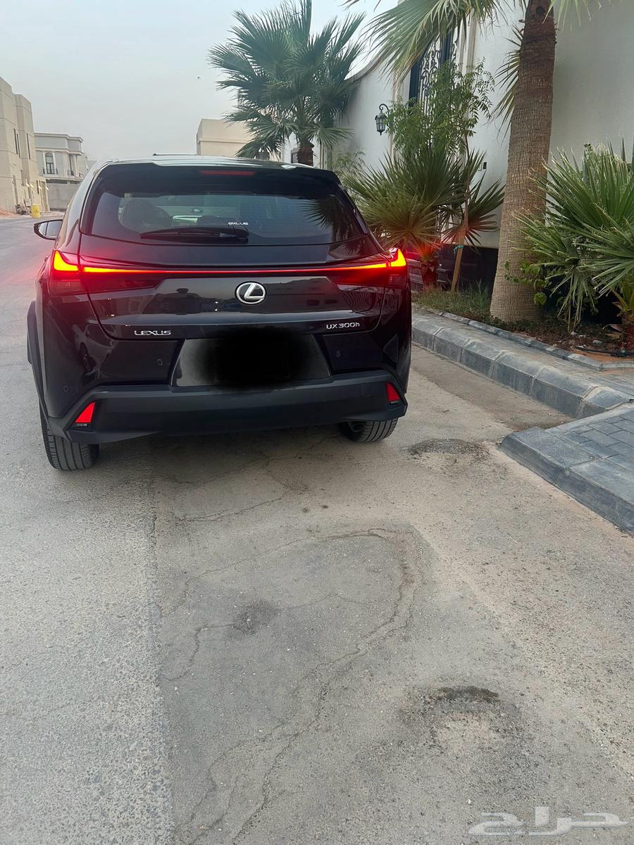 Lexus UX300h64031326762113114