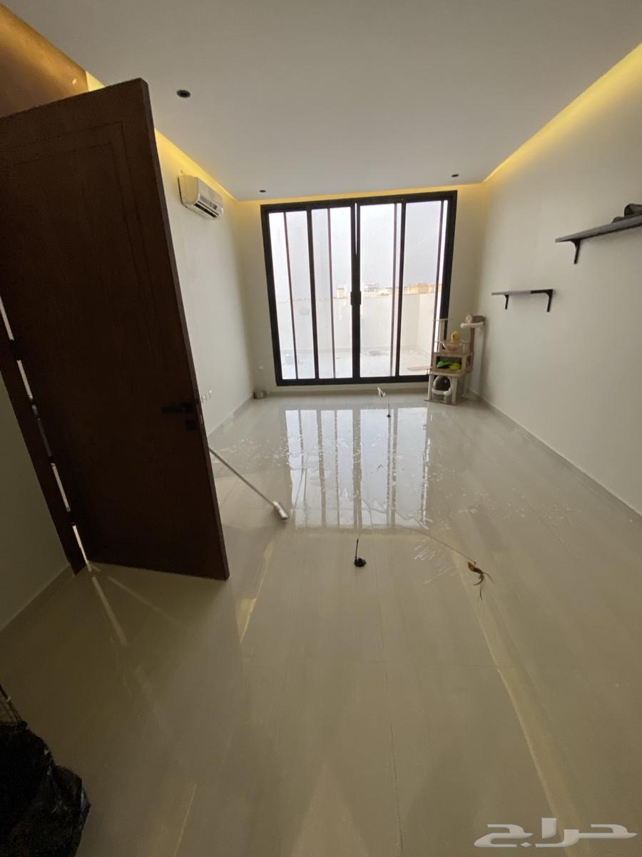 فندقة قطط راقية عروض أسبوعية وأسعار تبدأ من 19 ريال63390740462593112