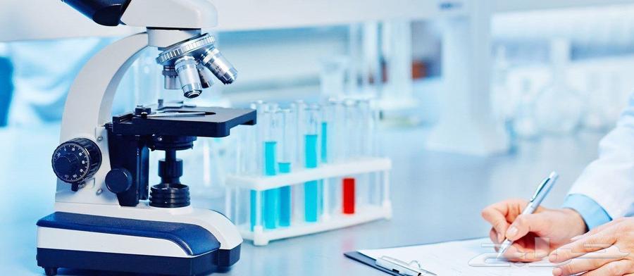 Veterinary Laboratory for Brucellosis Testing and Disease Examination63613897905153114