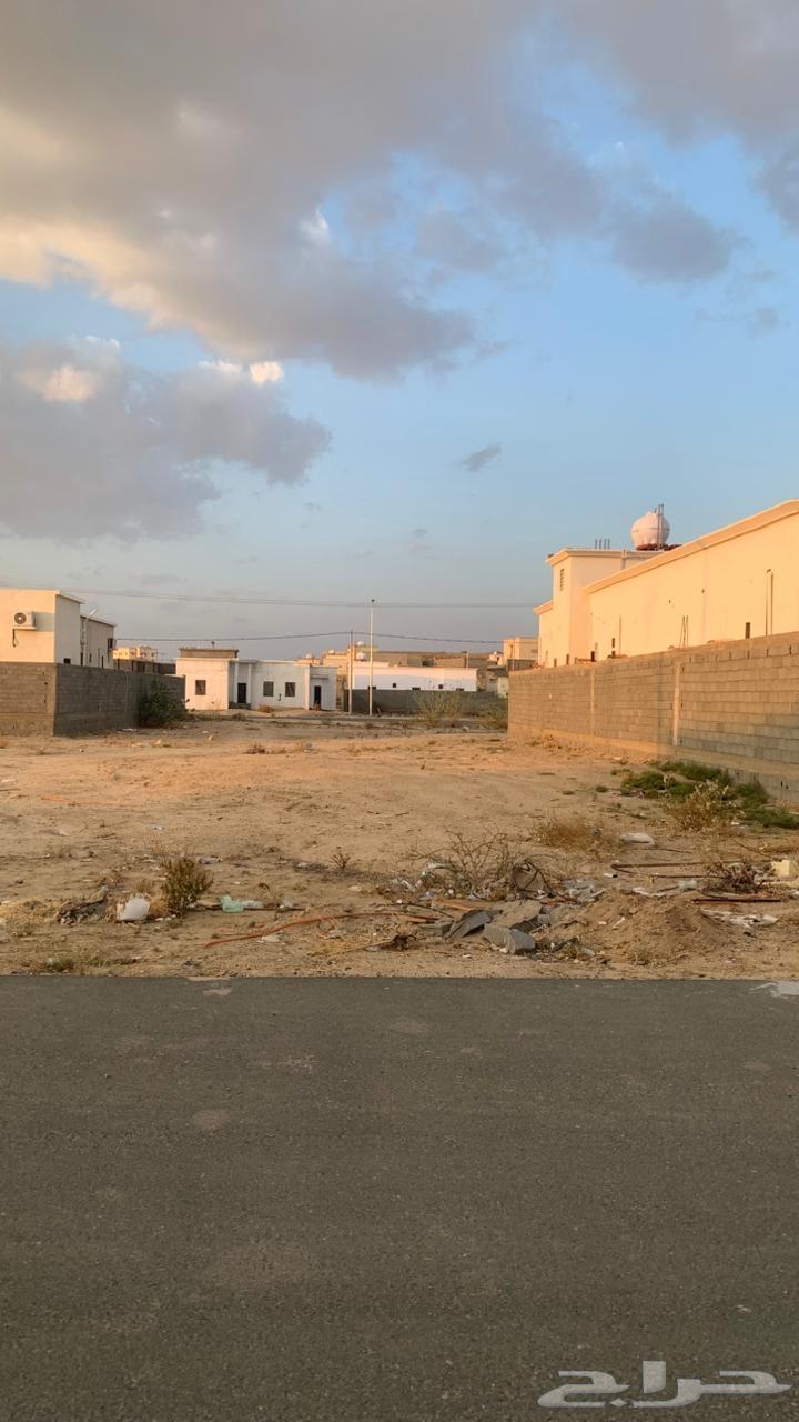 Bisha Land Cruiser site64030681756545114