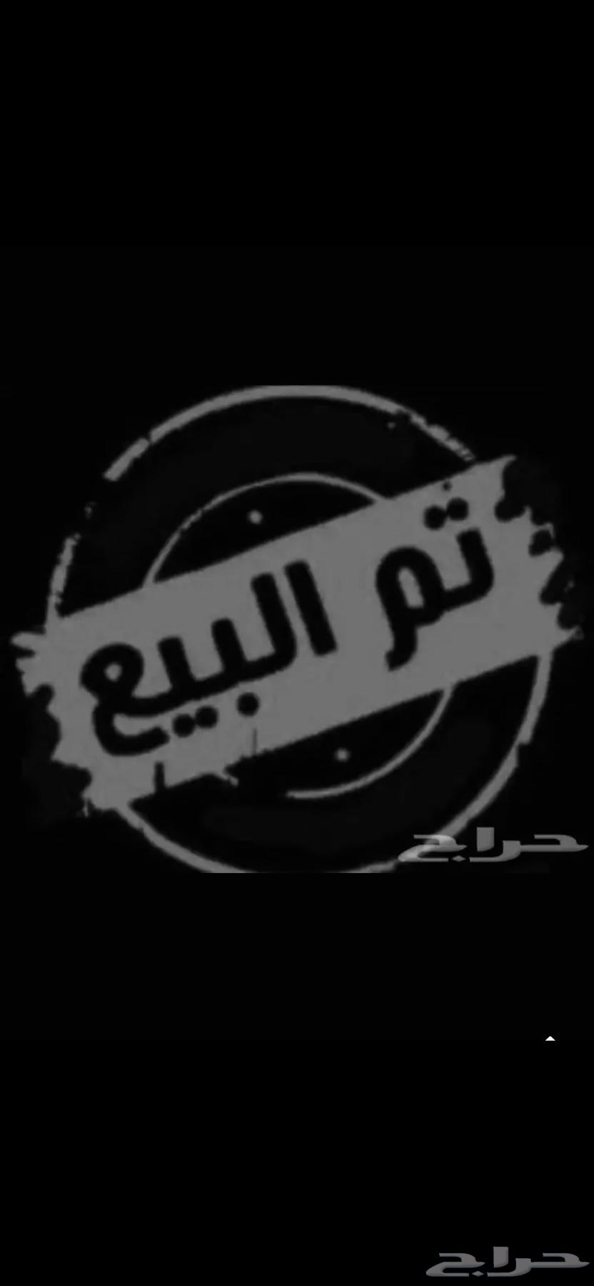 فرخ بلبول سوري ( تم البيع )63752249833857110
