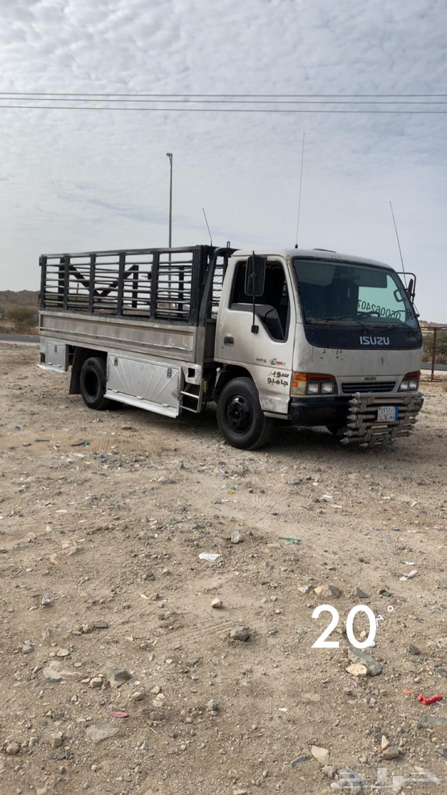دينا شبك بيشة63613927080323110