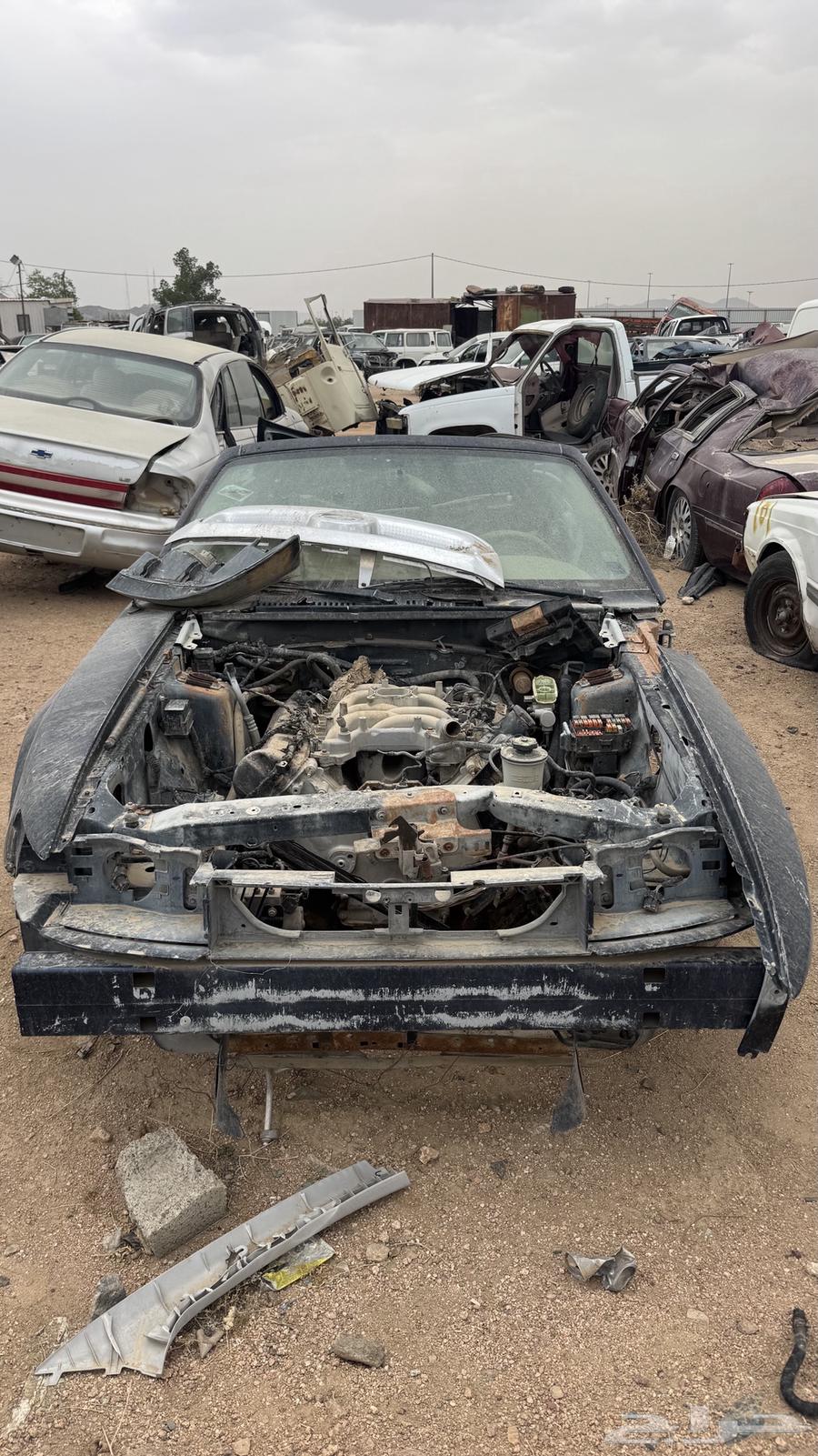 Ford Mustang64071955248130112