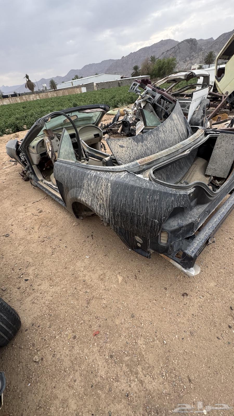 Ford Mustang64071955248130111