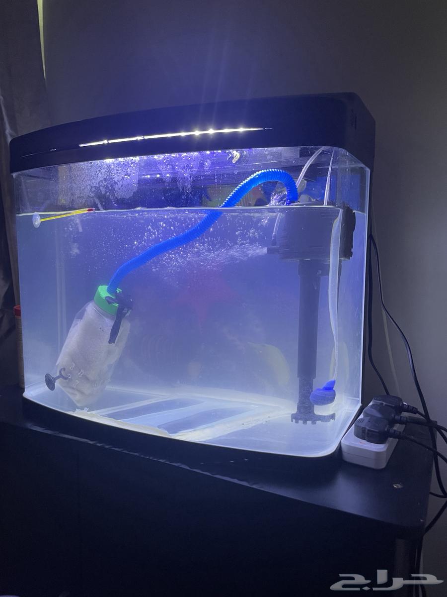 حوض سمك للبيع63867246430978110