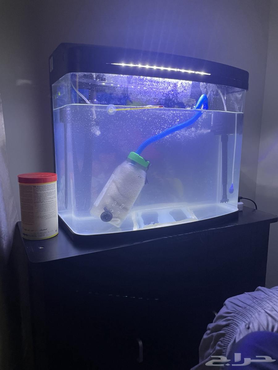 حوض سمك للبيع63867246430978111