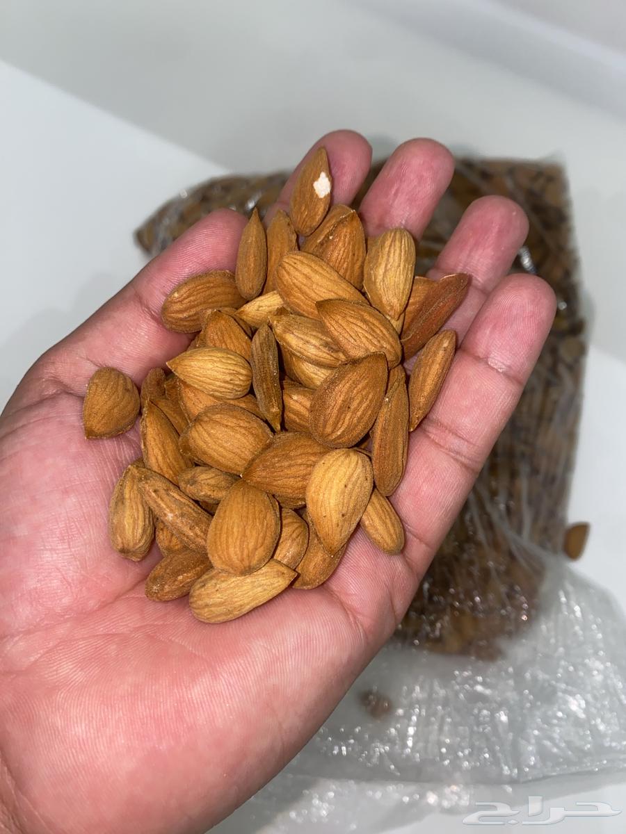 Almond63865551946370112