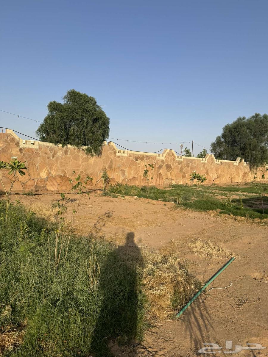 محل درايف ثرو للبيع64232400574593113