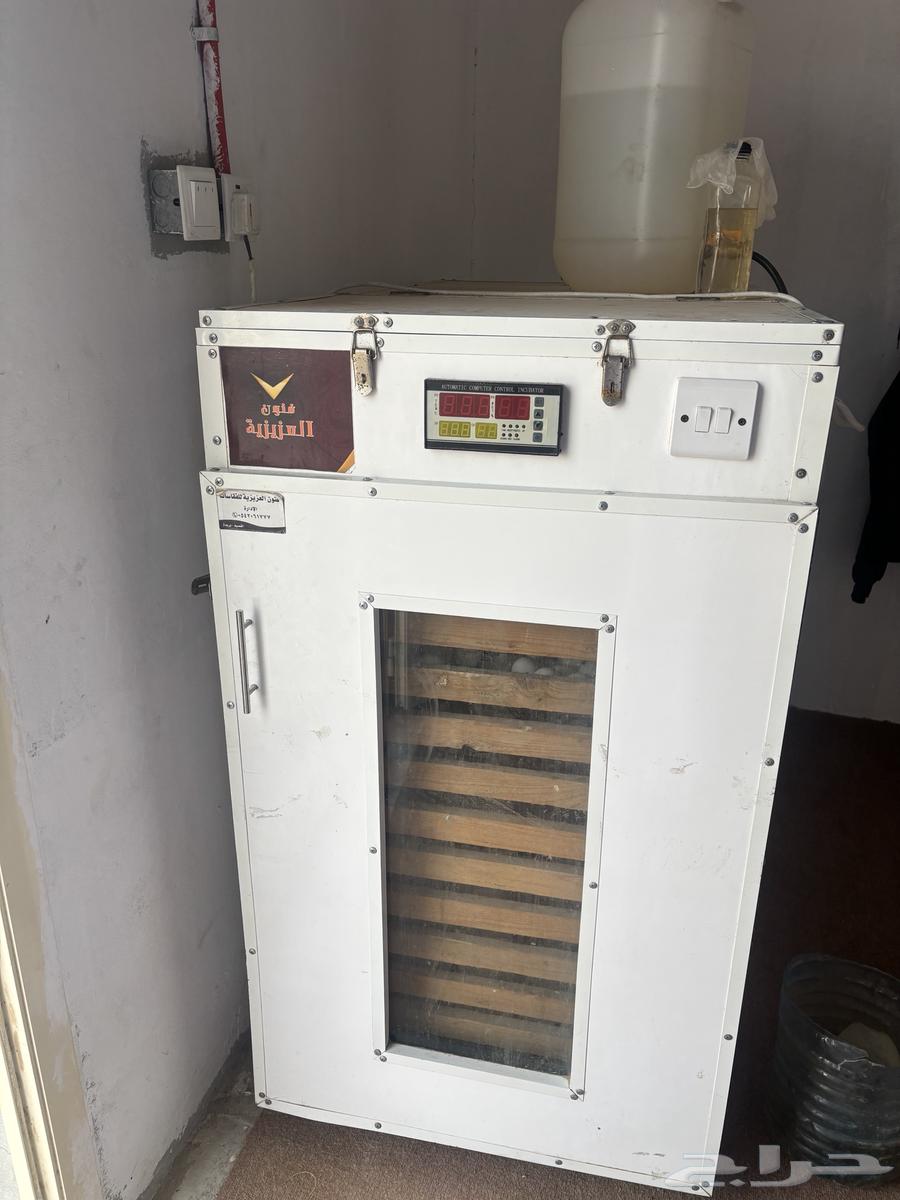 Incubator63866492605186110