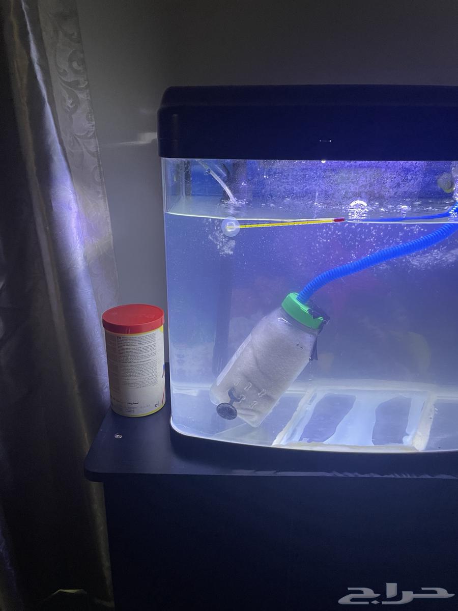 حوض سمك للبيع63867246430978112