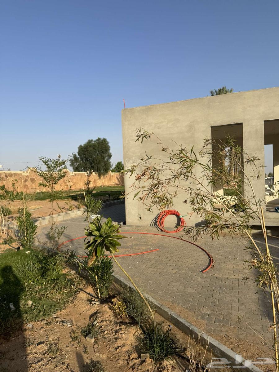 محل درايف ثرو للبيع64232400574593111