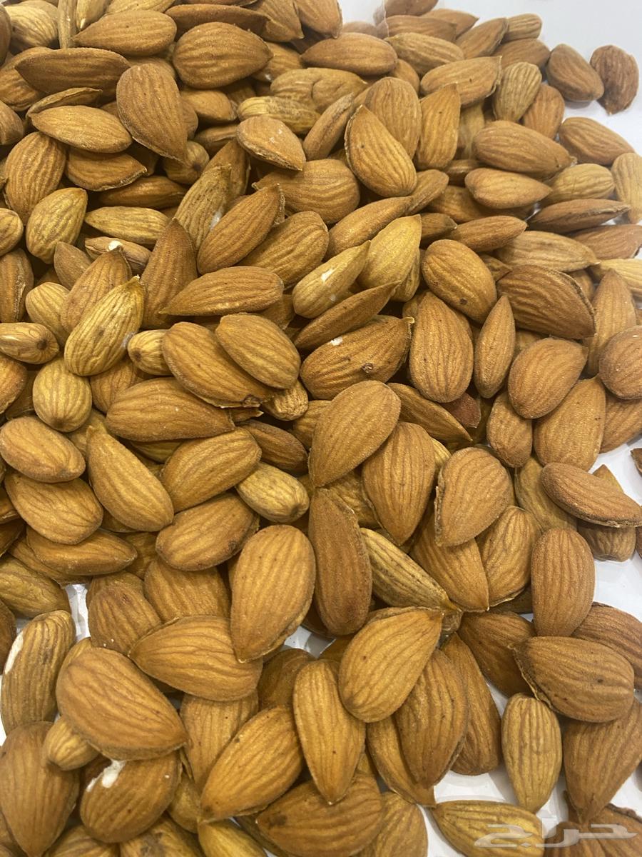 Almond63865551946370111