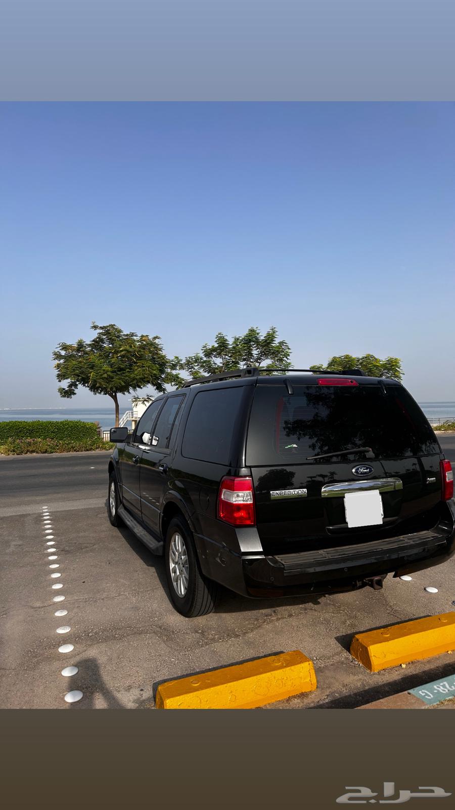 Ford Expedition 201464108244984195113