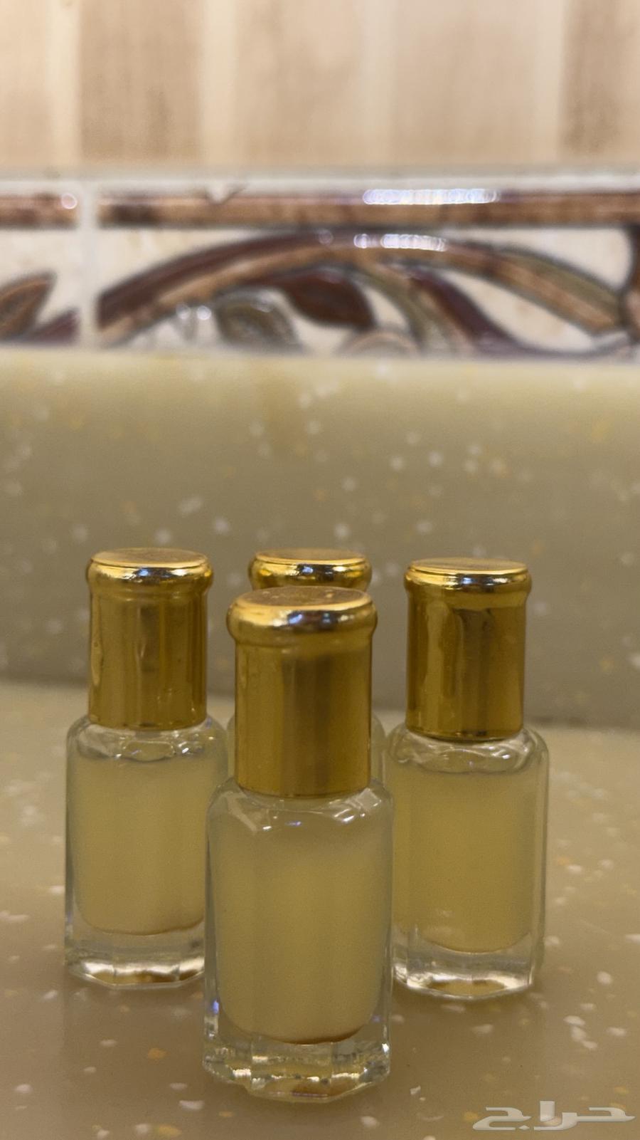Elderberry Tree Oil for Sale63876930595202110