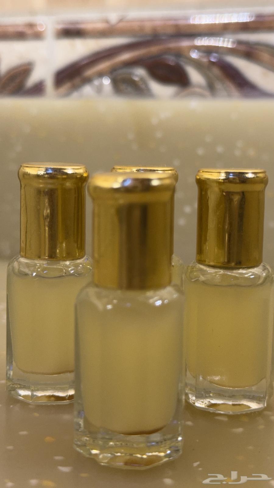 Elderberry Tree Oil for Sale63876930595202111
