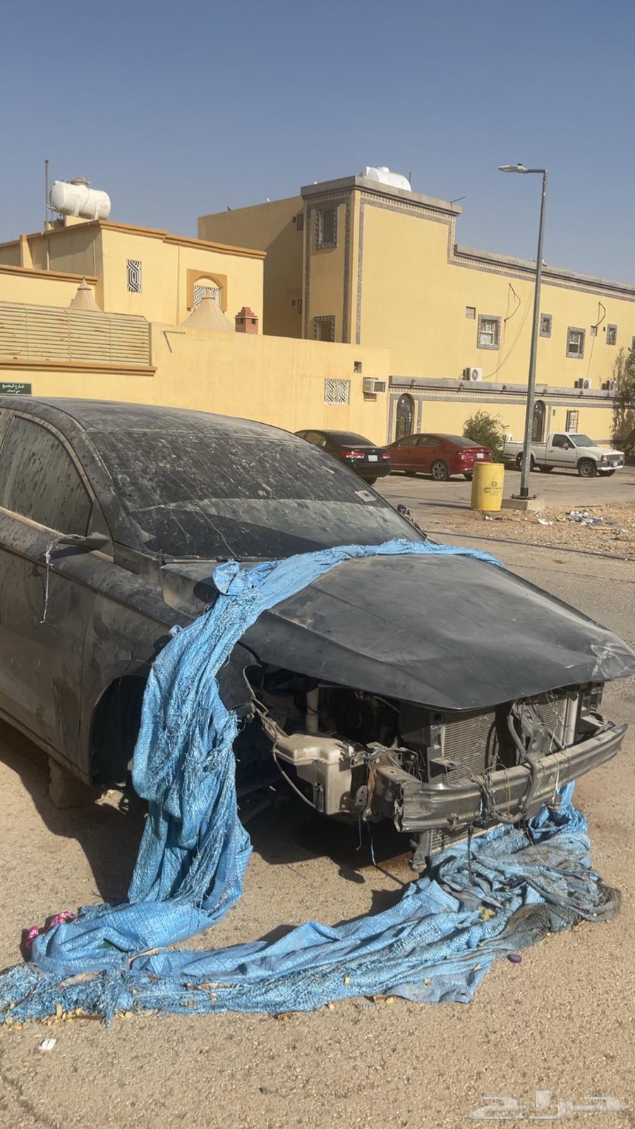 قطع جيلي امجراند 202464102017989761110