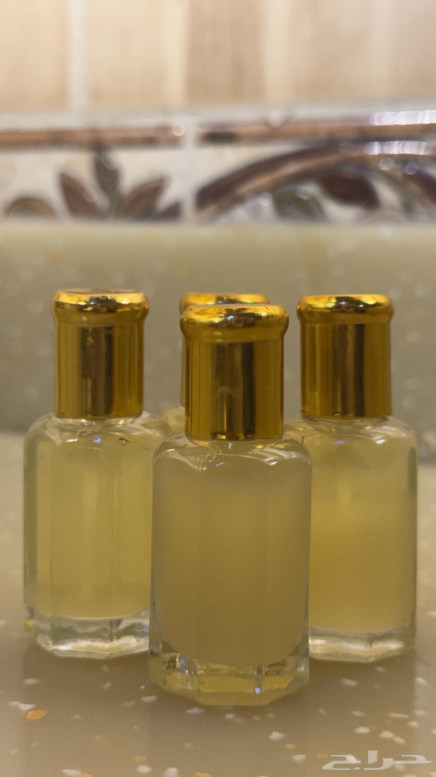 Elderberry Tree Oil for Sale63876930595202113