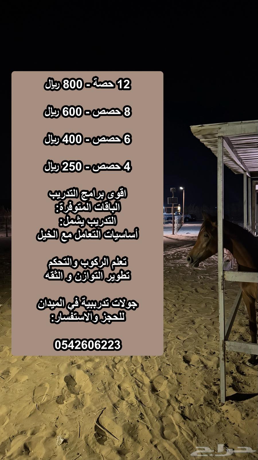 تدريب ركوب خيل63619063135746111
