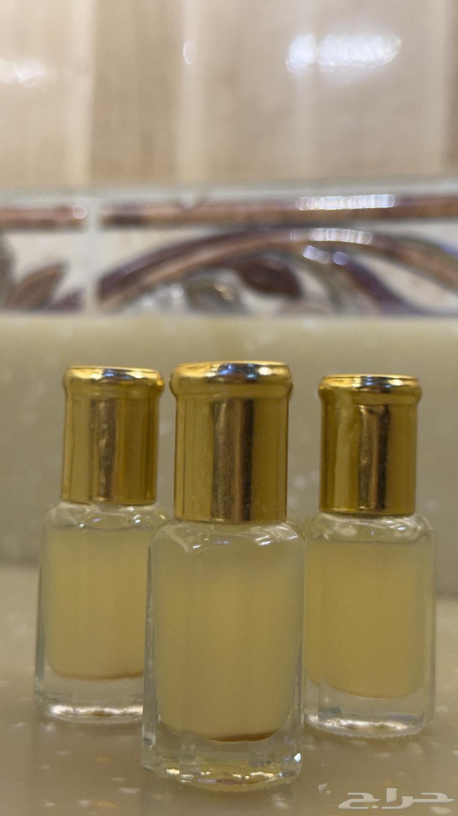 Elderberry Tree Oil for Sale63876930595202112