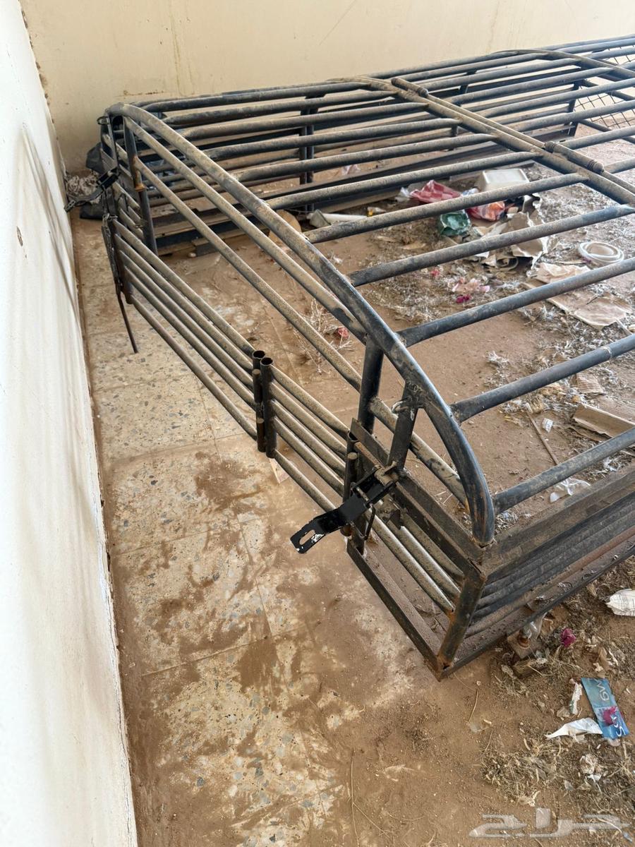 Shed Ddsan Al-Jamsh Mosque64101932679041111