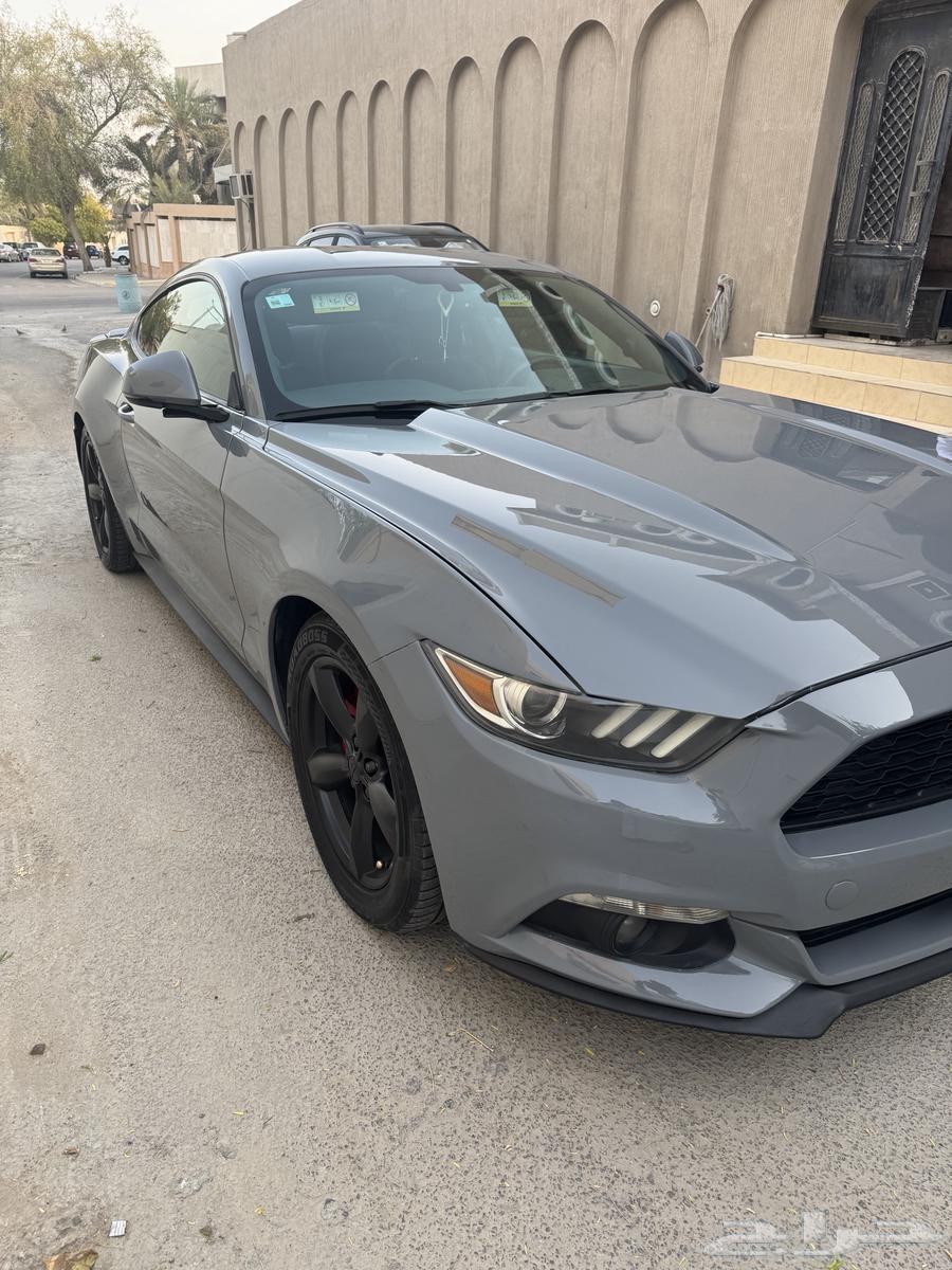 2015 Mustang V6 Manual Transmission64103406473217113