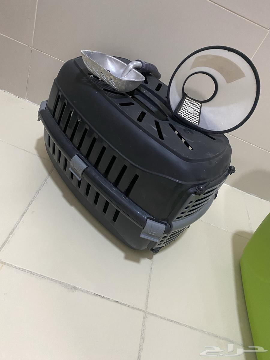 Pet cage, scoop, and collar63876502018689112