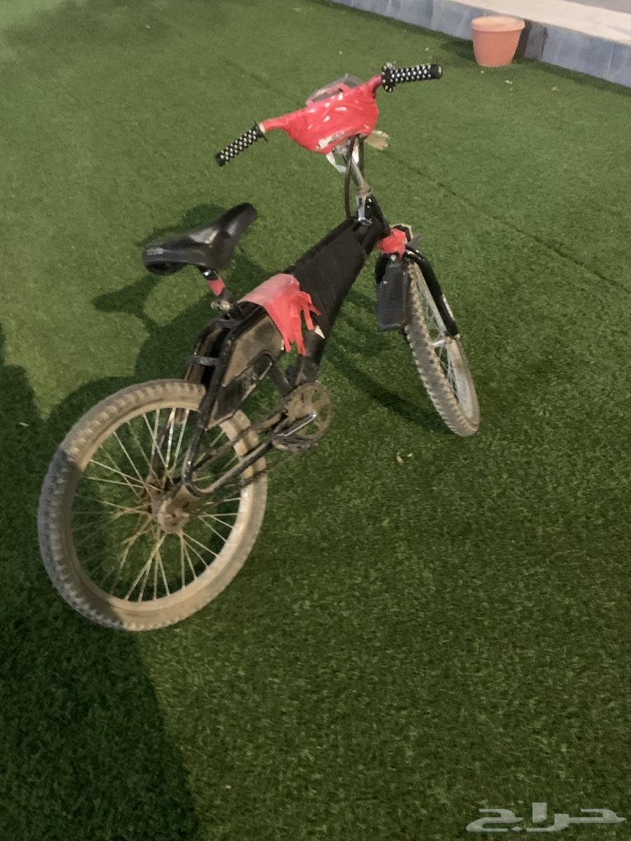 Used Rambo bike size 14 with headset63887382147202112