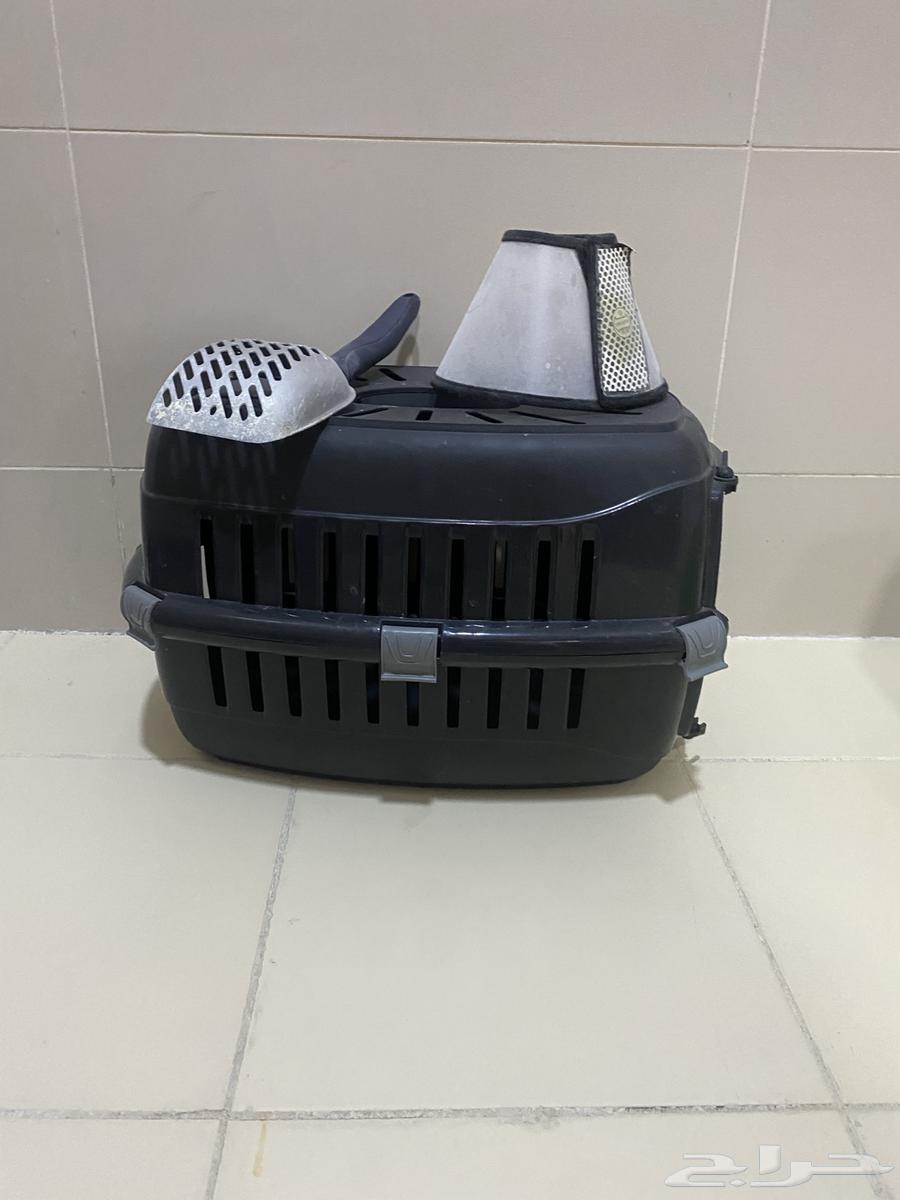 Pet cage, scoop, and collar63876502018689110