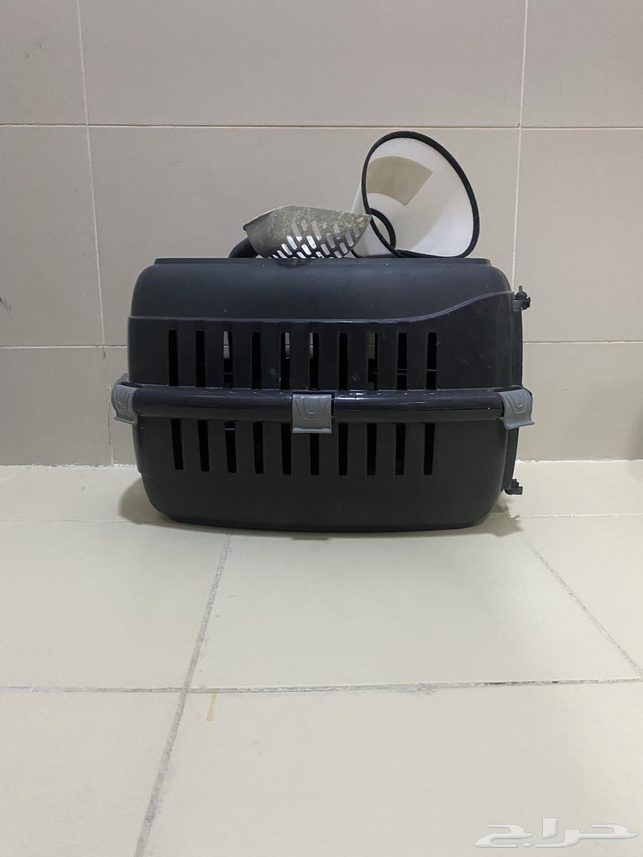 Pet cage, scoop, and collar63876502018689111