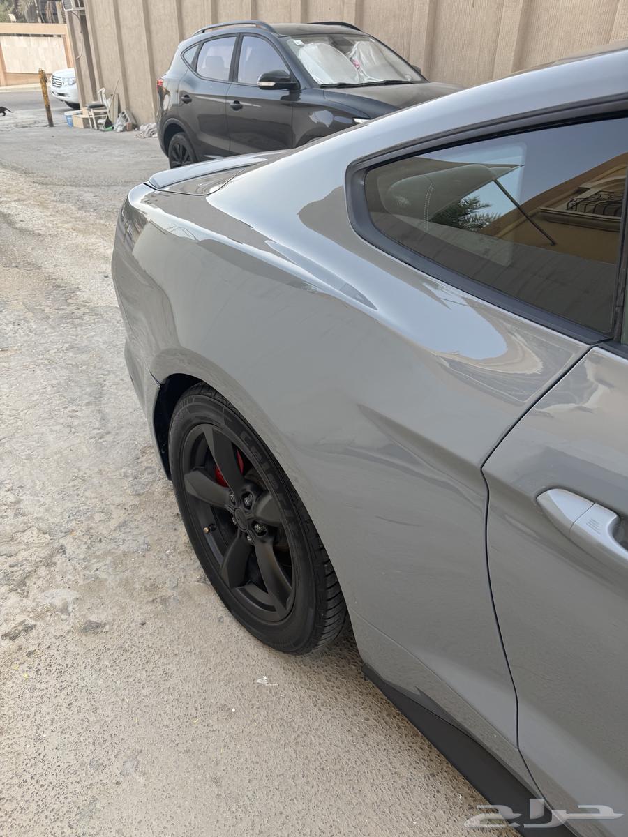 2015 Mustang V6 Manual Transmission64103406473217111