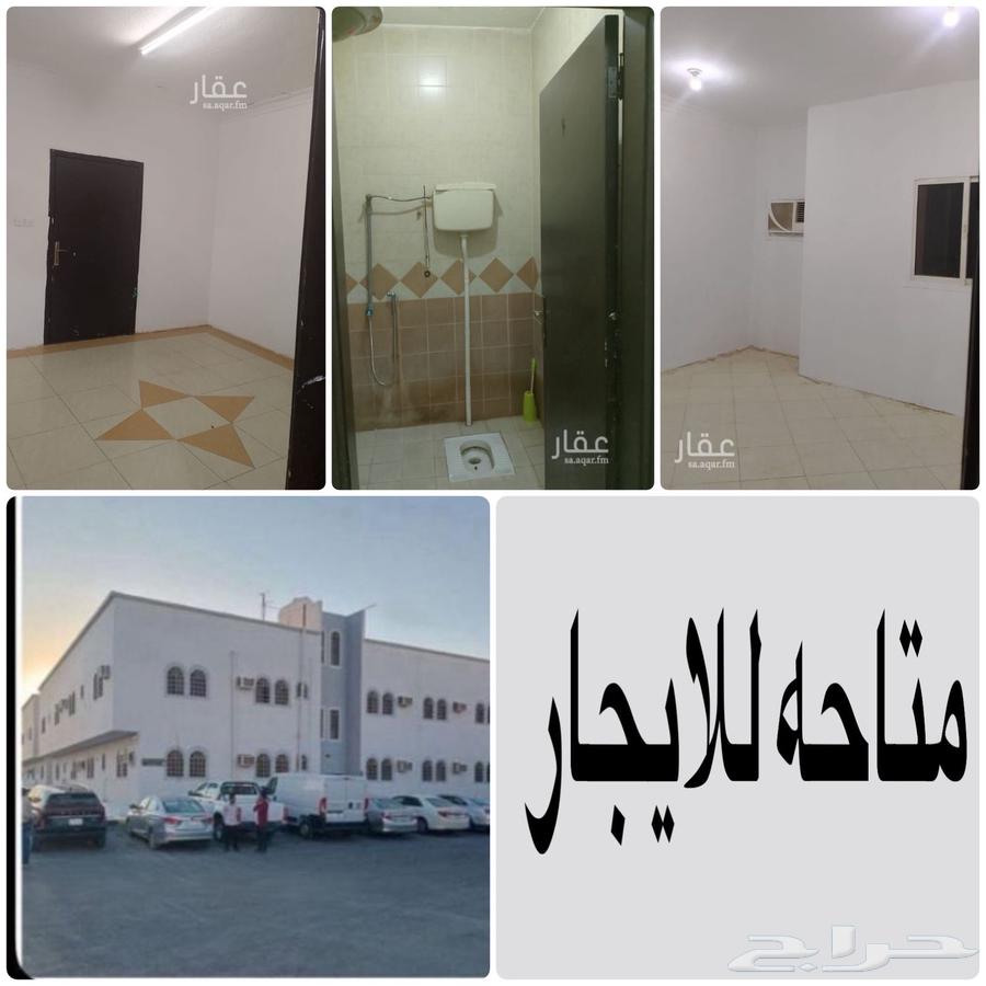 شقة للإيجار