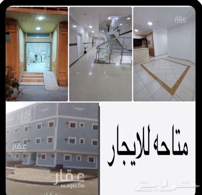 شقة للإيجار