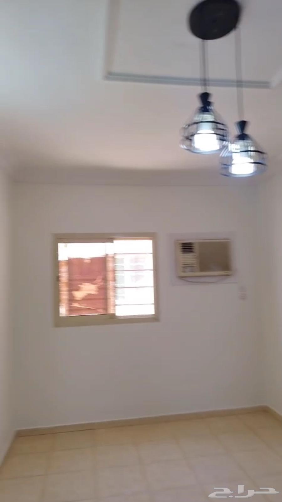 شقة للإيجار