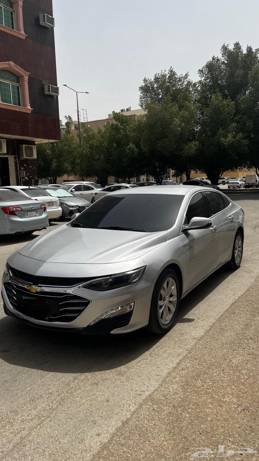 Malibu 201964110363559939111