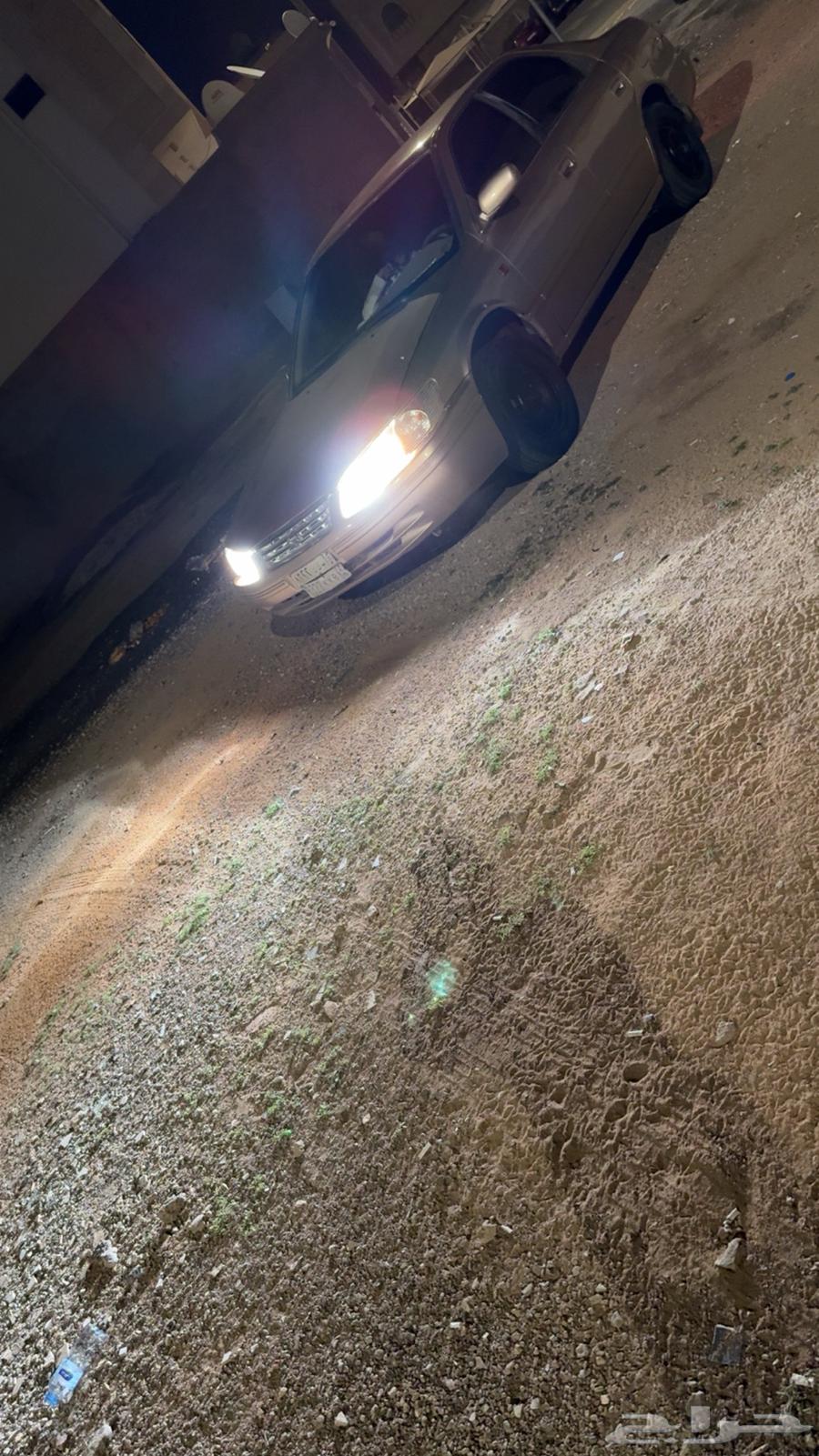 نور زينون64125892342273111