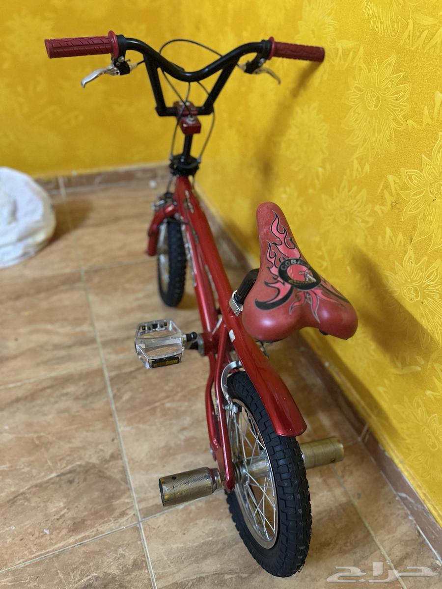 الصريف خلف الإمبراطورة لينا63898072054914114