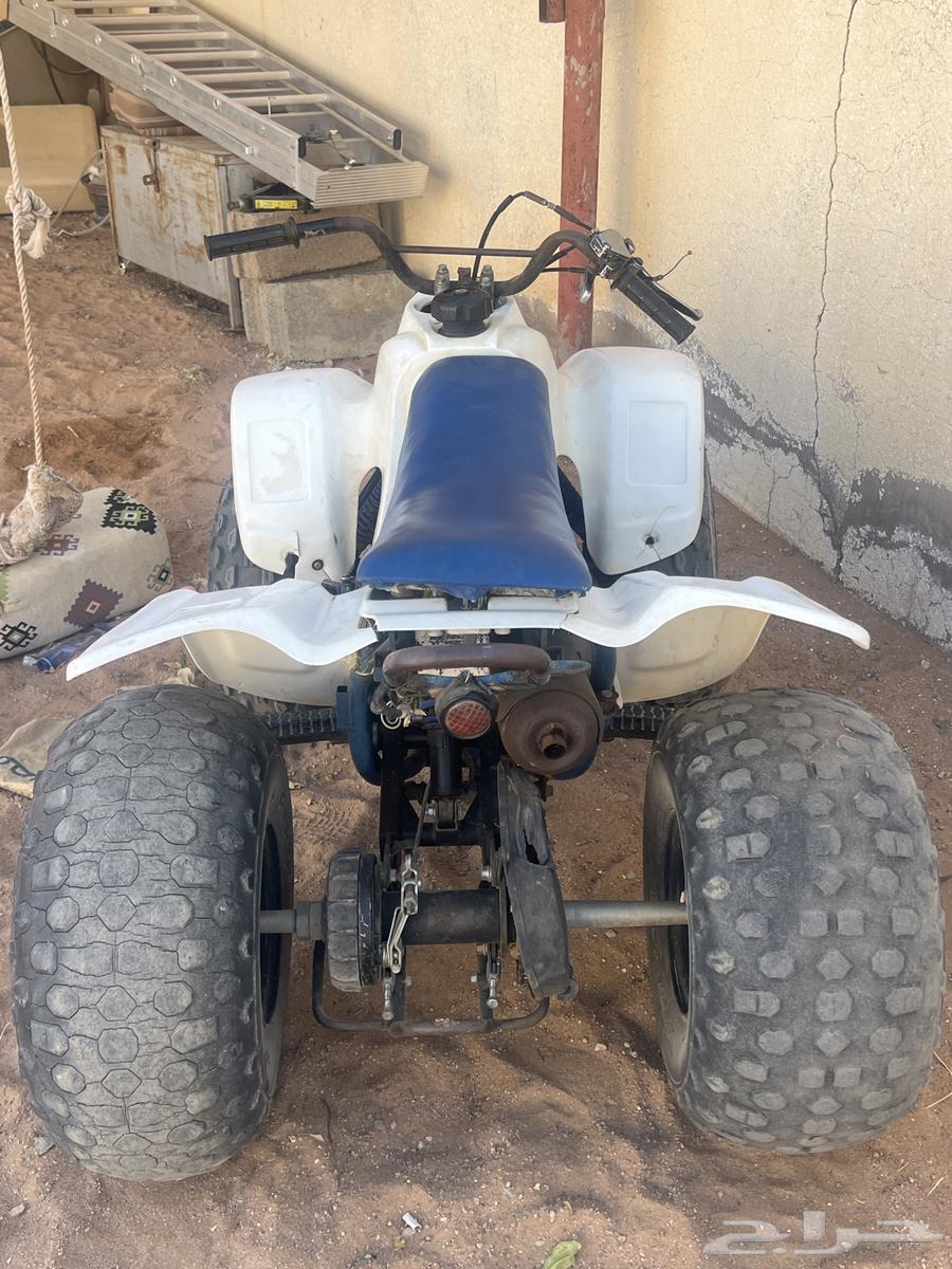 دباب رام 9064129961327235112