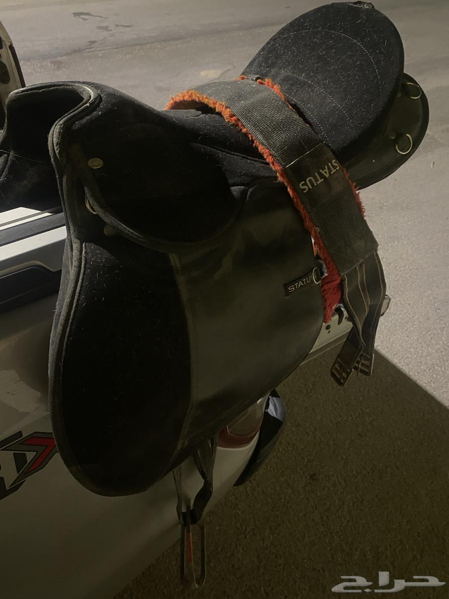 Original Status Saddle63906618737922114