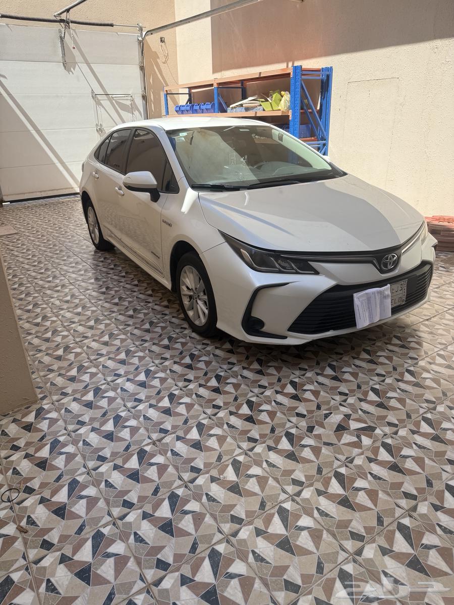 Korla 2020 Hybrid Clean64123294236417112