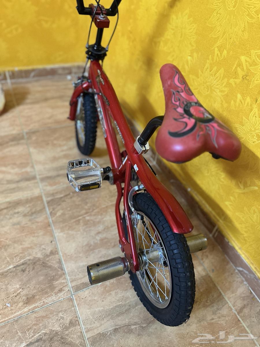 الصريف خلف الإمبراطورة لينا63898072054914113