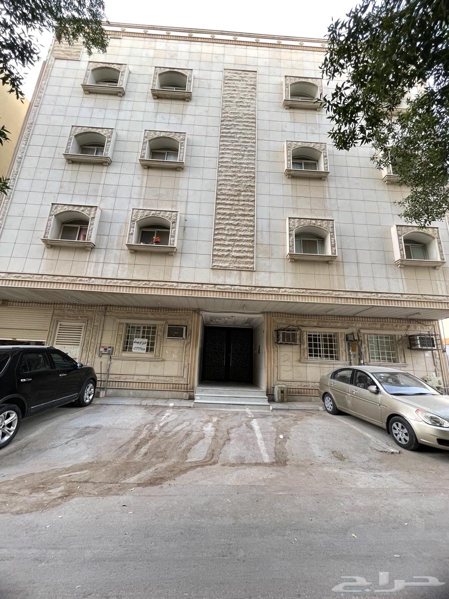 شقة للإيجار