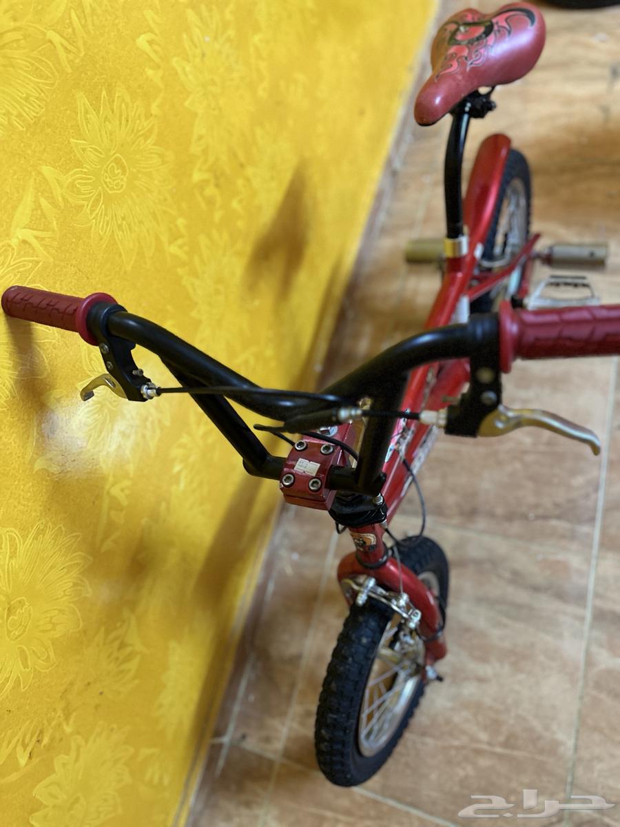 الصريف خلف الإمبراطورة لينا63898072054914112