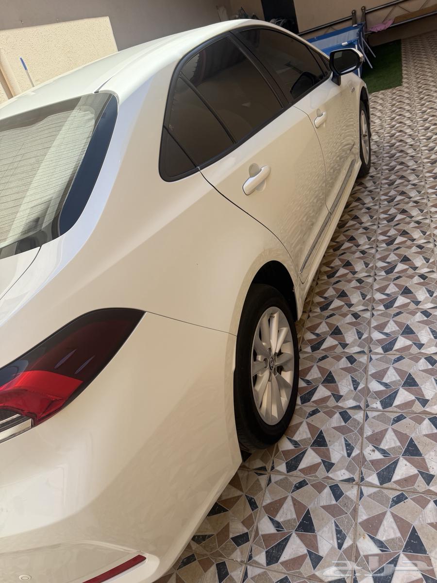 Korla 2020 Hybrid Clean64123294236417111